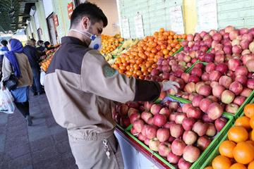 عضو هیات رئیسه شورای شهر تهران در گفت‌وگو با پانا:  تاکید بر سلامت محصولات میادین میوه و تره‌بار؛ پایش محصولات از سر گرفته می‌شود